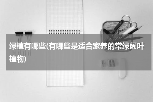 绿植有哪些(有哪些是适合家养的常绿阔叶植物)