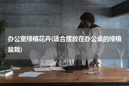 办公室绿植花卉(适合摆放在办公桌的绿植盆栽)