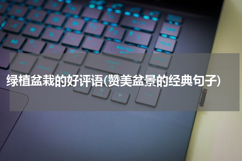 绿植盆栽的好评语(赞美盆景的经典句子)