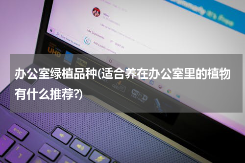办公室绿植品种(适合养在办公室里的植物有什么推荐?)