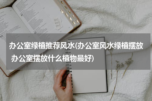 办公室绿植推荐风水(办公室风水绿植摆放 办公室摆放什么植物最好)