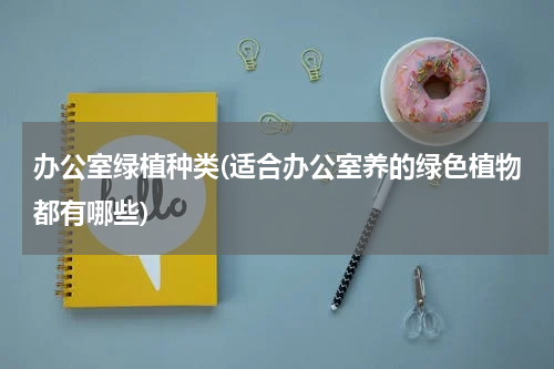 办公室绿植种类(适合办公室养的绿色植物都有哪些)