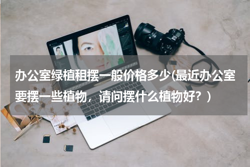 办公室绿植租摆一般价格多少(最近办公室要摆一些植物，请问摆什么植物好？)