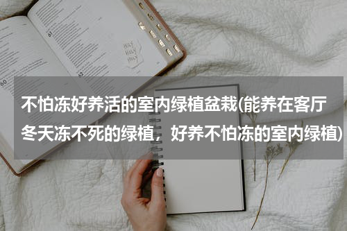 不怕冻好养活的室内绿植盆栽(能养在客厅冬天冻不死的绿植，好养不怕冻的室内绿植)