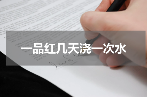 一品红几天浇一次水