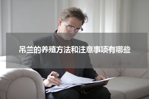 吊兰的养殖方法和注意事项有哪些