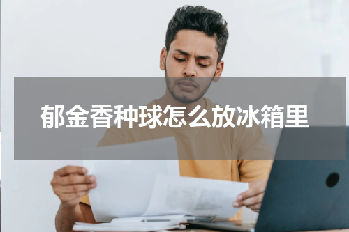郁金香种球怎么放冰箱里