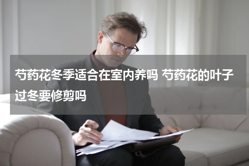芍药花冬季适合在室内养吗 芍药花的叶子过冬要修剪吗