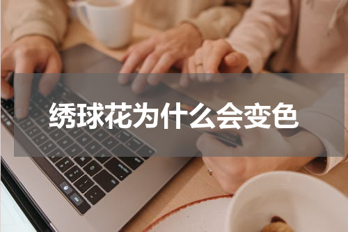 绣球花为什么会变色