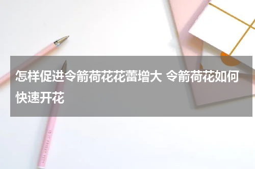 怎样促进令箭荷花花蕾增大 令箭荷花如何快速开花