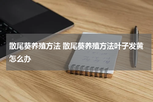 散尾葵养殖方法 散尾葵养殖方法叶子发黄怎么办