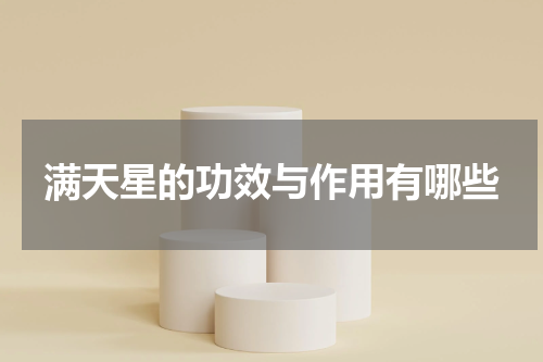 满天星的功效与作用有哪些