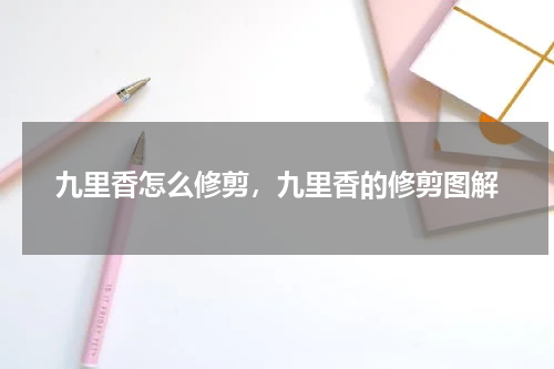 九里香怎么修剪，九里香的修剪图解