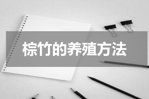 棕竹的养殖方法