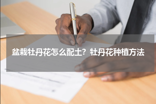 盆栽牡丹花怎么配土？牡丹花种植方法