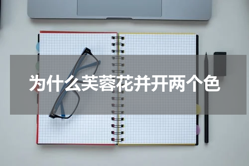 为什么芙蓉花并开两个色