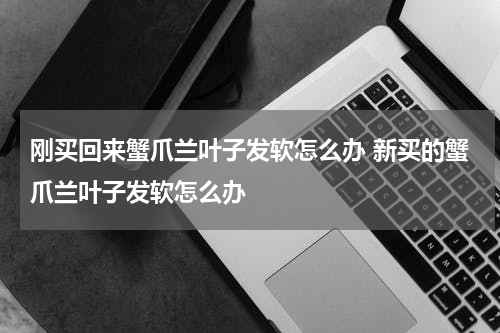 刚买回来蟹爪兰叶子发软怎么办 新买的蟹爪兰叶子发软怎么办