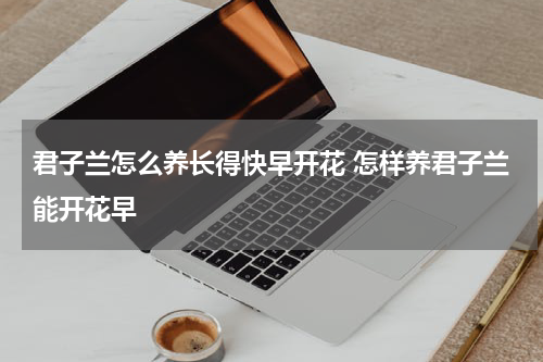 君子兰怎么养长得快早开花 怎样养君子兰能开花早
