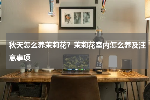 秋天怎么养茉莉花？茉莉花室内怎么养及注意事项