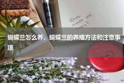 蝴蝶兰怎么养，蝴蝶兰的养殖方法和注意事项