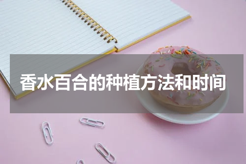 香水百合的种植方法和时间