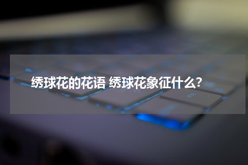 绣球花的花语 绣球花象征什么？