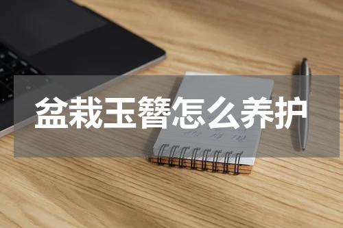 盆栽玉簪怎么养护