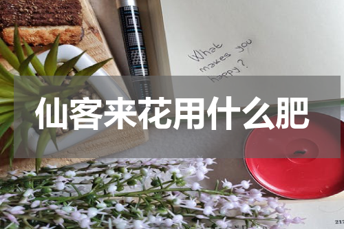 仙客来花用什么肥