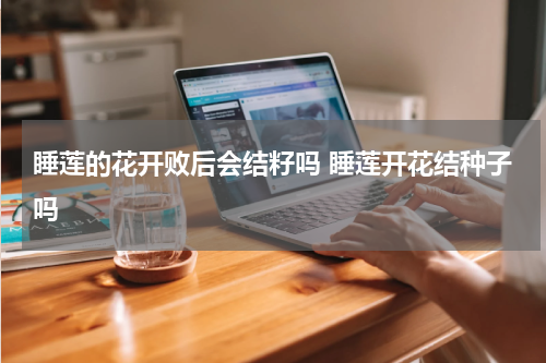 睡莲的花开败后会结籽吗 睡莲开花结种子吗