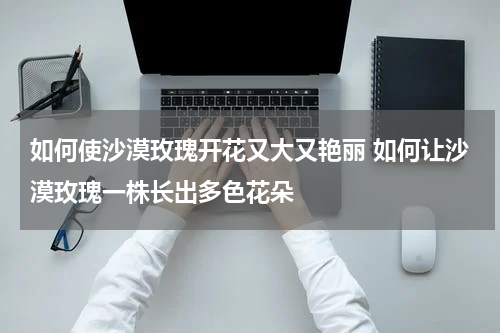 如何使沙漠玫瑰开花又大又艳丽 如何让沙漠玫瑰一株长出多色花朵