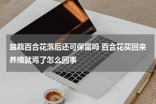盆栽百合花落后还可保留吗 百合花买回来养殖就焉了怎么回事