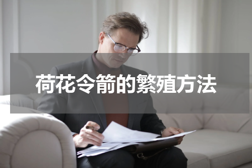 荷花令箭的繁殖方法