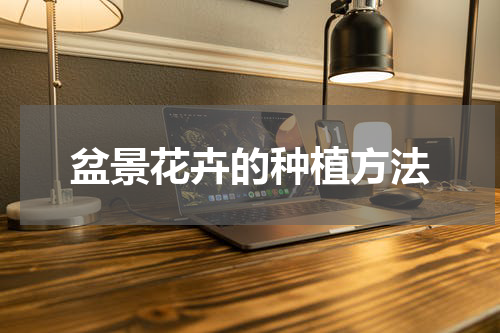 盆景花卉的种植方法