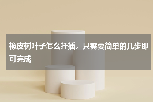 橡皮树叶子怎么扦插，只需要简单的几步即可完成