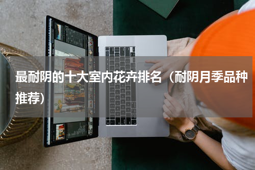 最耐阴的十大室内花卉排名（耐阴月季品种推荐）