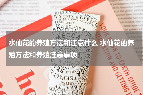 水仙花的养殖方法和注意什么 水仙花的养殖方法和养殖注意事项