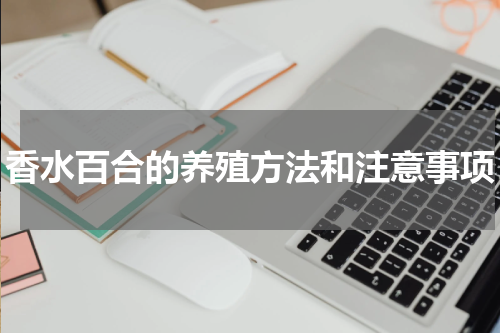 香水百合的养殖方法和注意事项