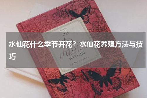 水仙花什么季节开花？水仙花养殖方法与技巧