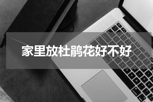 家里放杜鹃花好不好