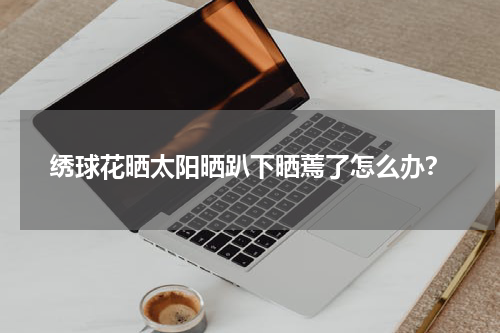 绣球花晒太阳晒趴下晒蔫了怎么办？