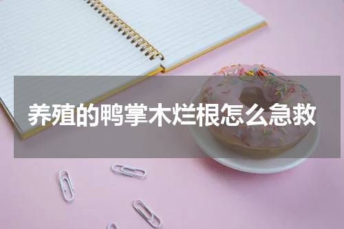 养殖的鸭掌木烂根怎么急救
