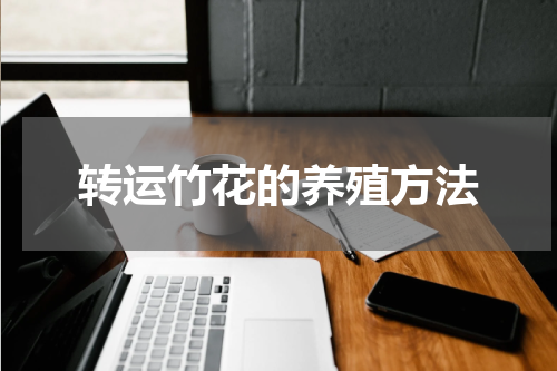 转运竹花的养殖方法