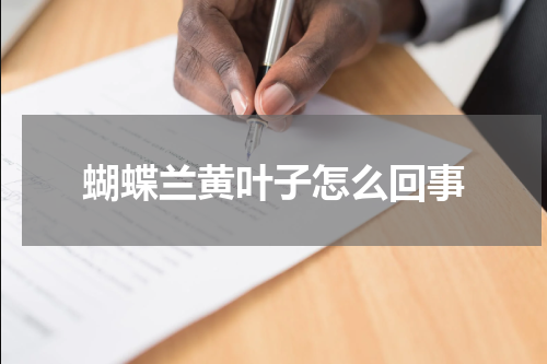 蝴蝶兰黄叶子怎么回事