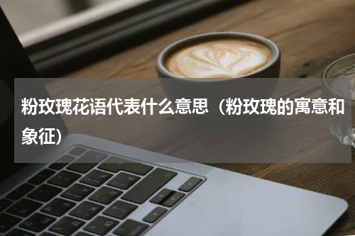 粉玫瑰花语代表什么意思（粉玫瑰的寓意和象征）