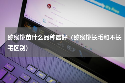 猕猴桃苗什么品种最好（猕猴桃长毛和不长毛区别）