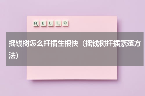 摇钱树怎么扦插生根快（摇钱树扦插繁殖方法）
