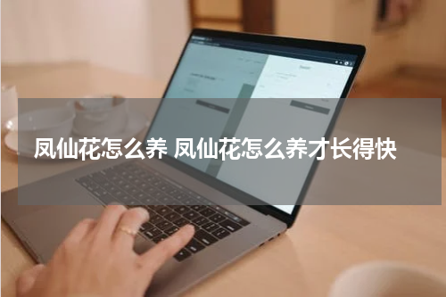 凤仙花怎么养 凤仙花怎么养才长得快