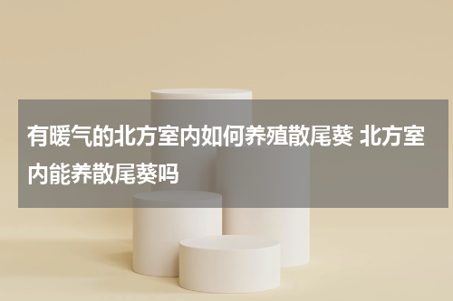 有暖气的北方室内如何养殖散尾葵 北方室内能养散尾葵吗