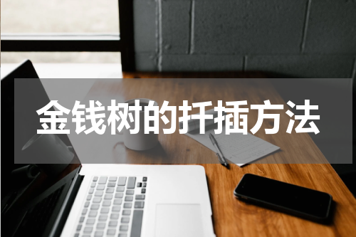 金钱树的扦插方法