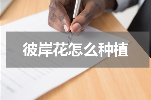 彼岸花怎么种植